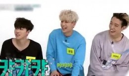 丸子娱乐爆料怎么做的啊,揭秘“丸子爆料”幕后制作秘籍